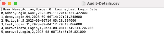 audit-report-csv.png